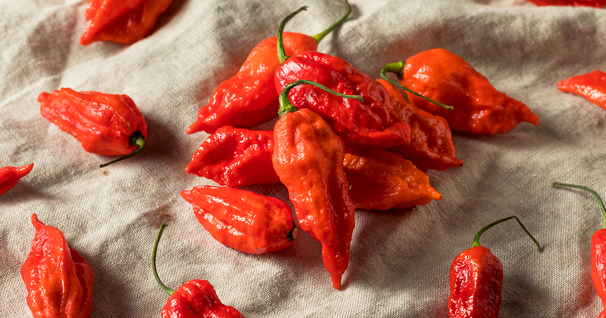 Ghost peppers