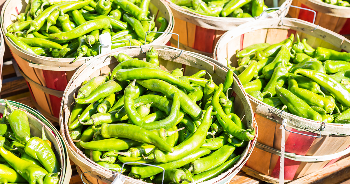 Green chile peppers