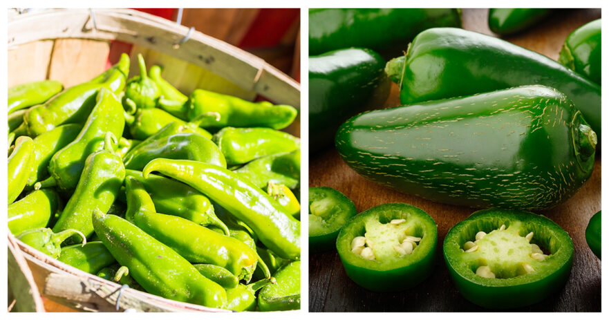 Green chile vs jalapeño