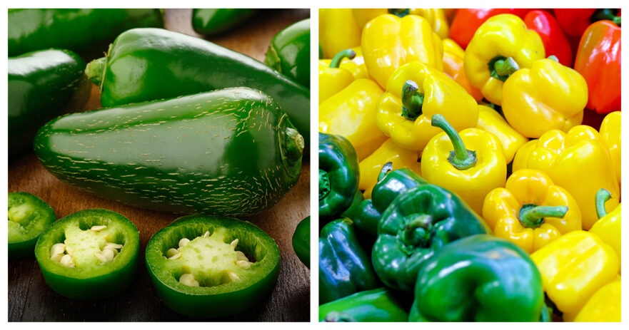 Jalapeño vs bell pepper
