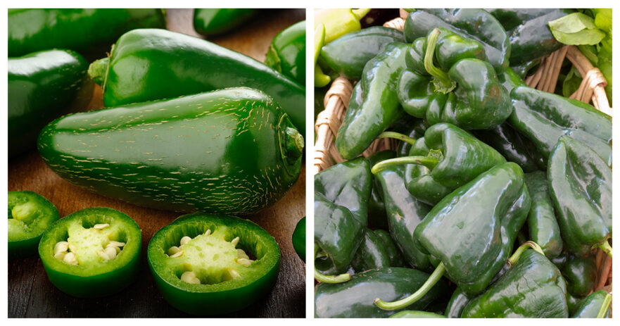 jalapeno vs poblano