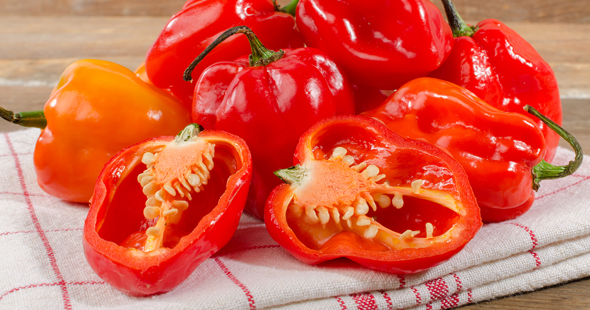 Types of Habanero Peppers