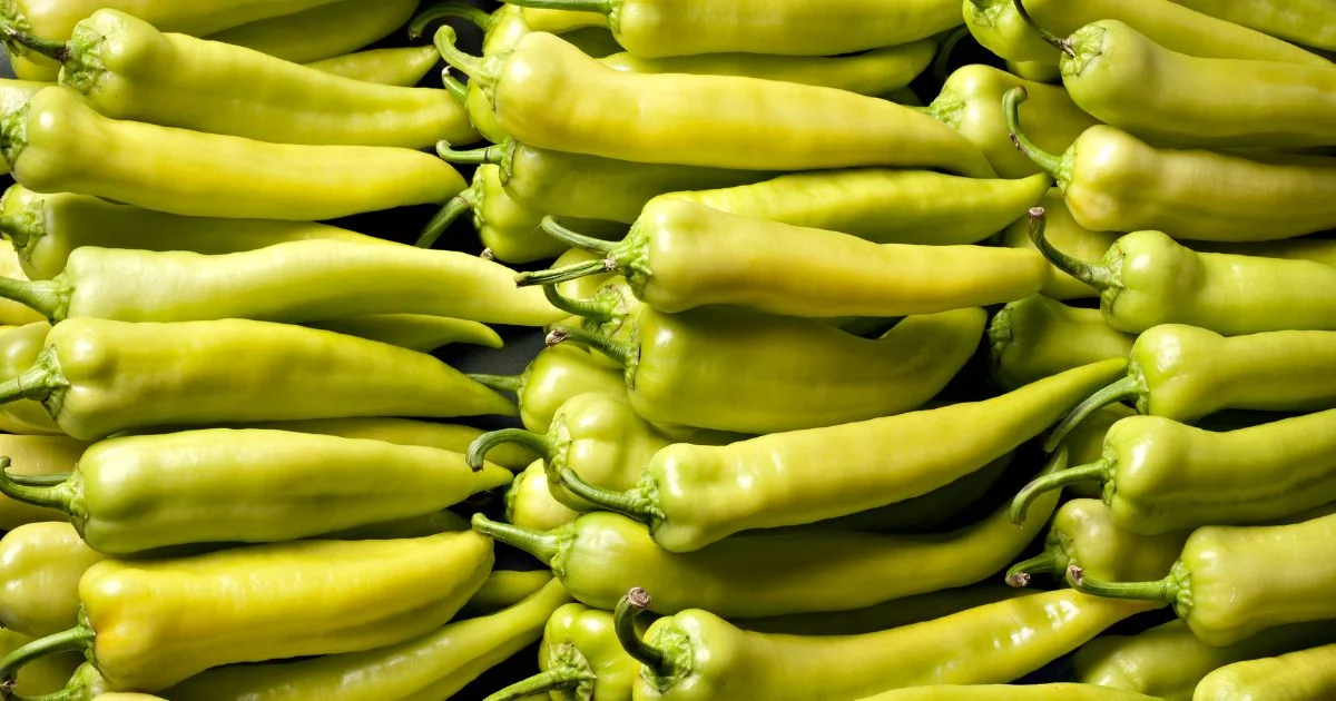 Featured image for “Banana Pepper – All about Heat, Flavor, Uses, Substitutes”