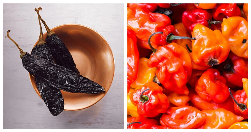 Chipotle VS Habanero: How Are They Different? 1 Chipotle vs habanero
