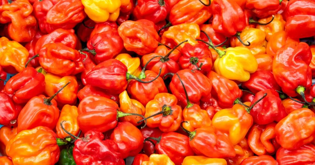 different types of habanero