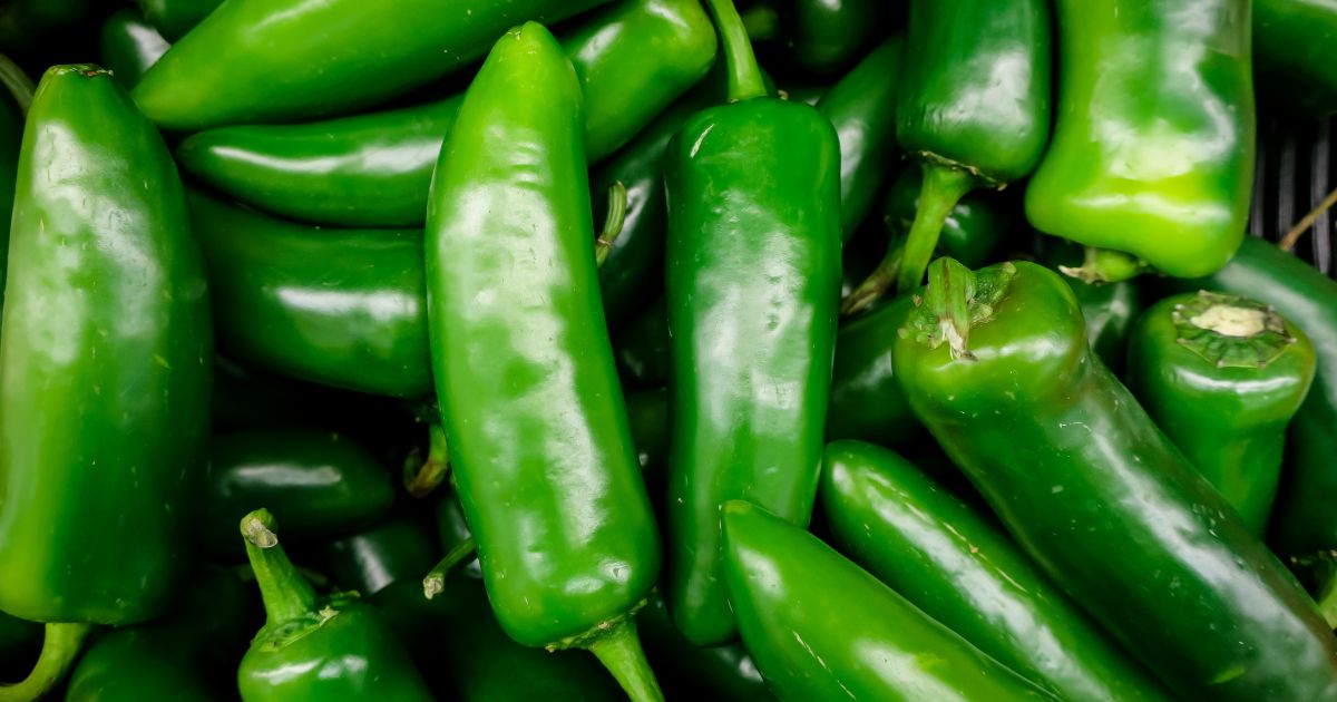 Featured image for “Jalapeño Pepper – All about Heat, Flavor, Uses, Substitutes”