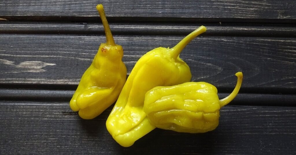 pepperoncini look like