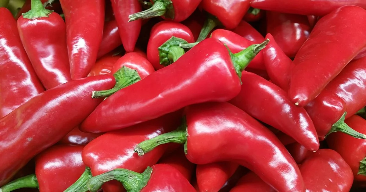 Featured image for “Fresno pepper – All about Heat, Flavor, Uses, Substitutes”