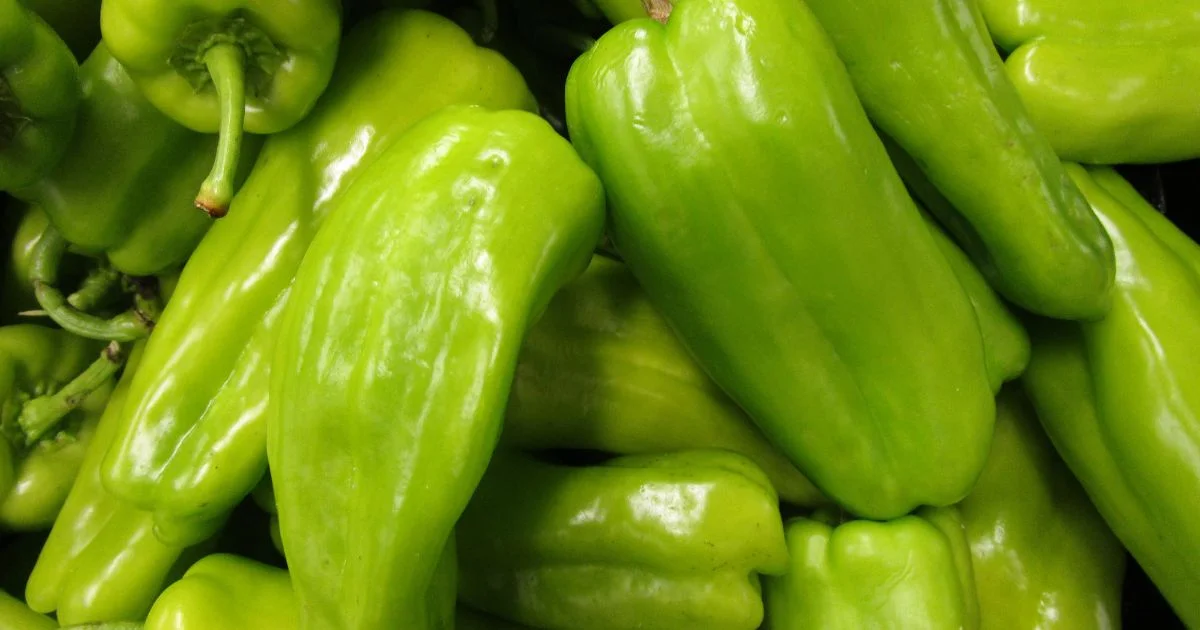 Featured image for “Cubanelle pepper – All about Heat, Flavor, Uses, Substitutes”