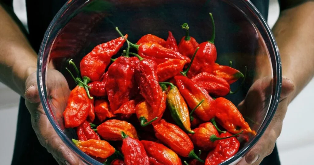 How to store ghost peppers