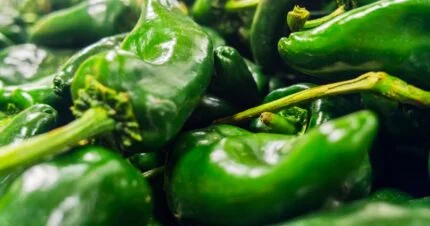 Sport pepper - All about Heat, Flavor, Uses, Substitutes 🌶️