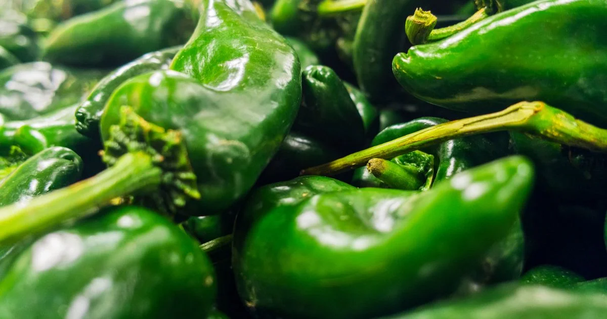 Sport pepper All about Heat, Flavor, Uses, Substitutes 🌶️