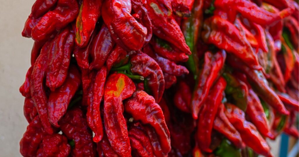 Calabrian pepper history