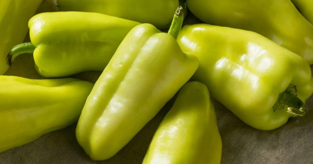 Gypsy pepper - All about Heat, Flavor, Uses, Substitutes ๐ถ๏ธ