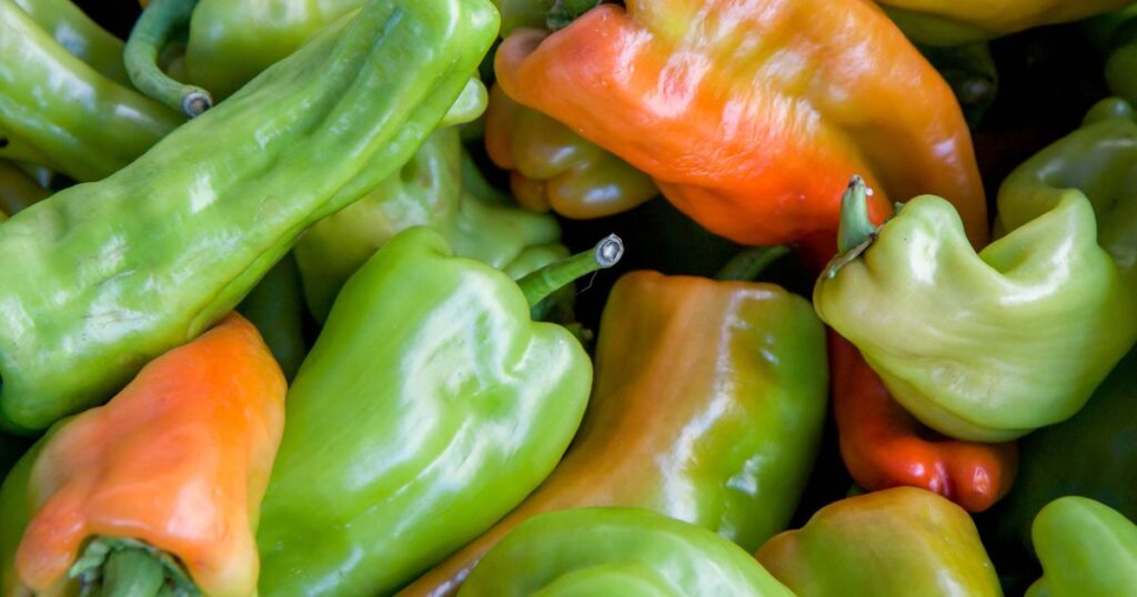 How to store gypsy pepper