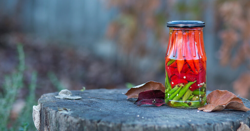 homemade chili vinegar