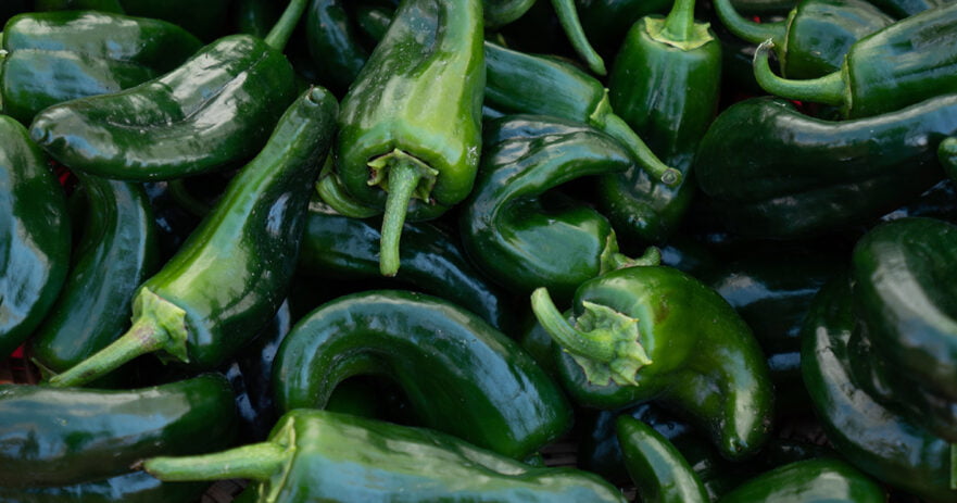Health benefits of poblano peppers