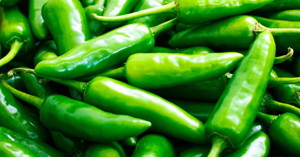 Mild peppers: green anaheim peppers