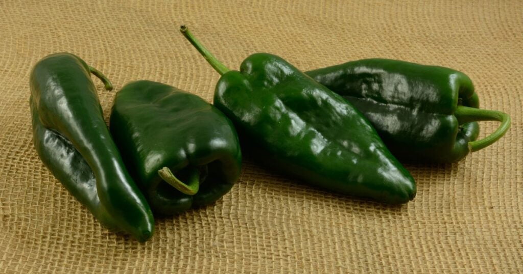 What is poblano pepper
