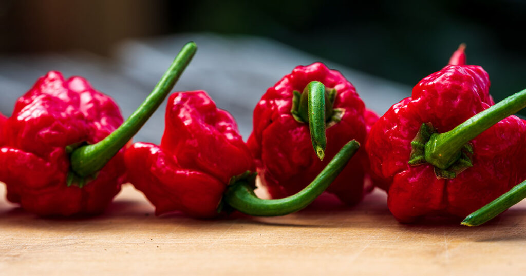 What is a Carolina Reaper