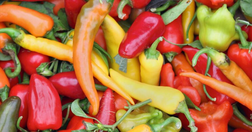 Health Benefits of Extremely Spicy Peppers