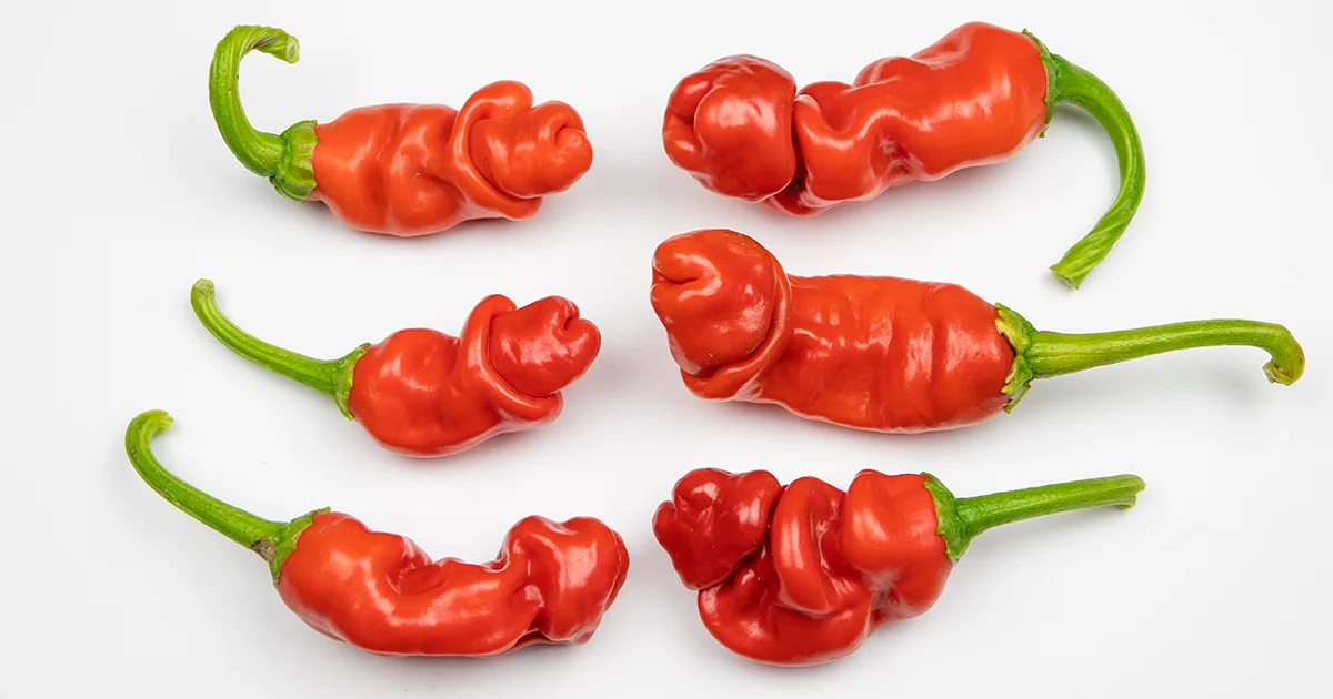 Featured image for “Peter pepper – All about Heat, Flavor, Uses, Substitutes”