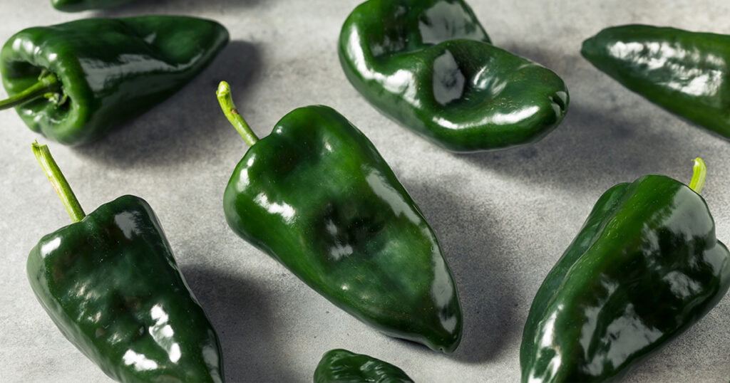 What is Poblano Pepper