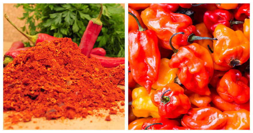 Cayenne pepper vs habanero