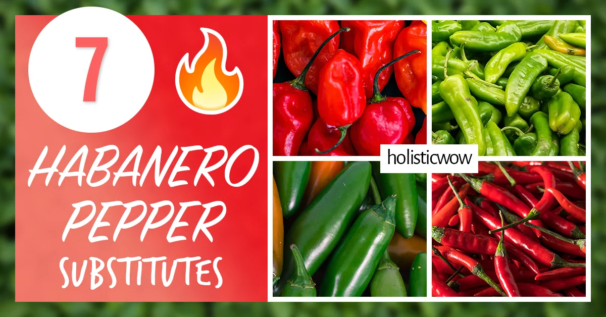 7 Fiery Habanero Substitutes and Alternatives to Ignite Your Taste Buds 🌶️