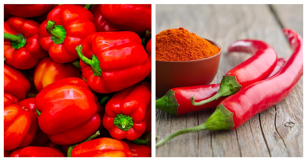 Red Pepper VS Cayenne How Are They Different?
