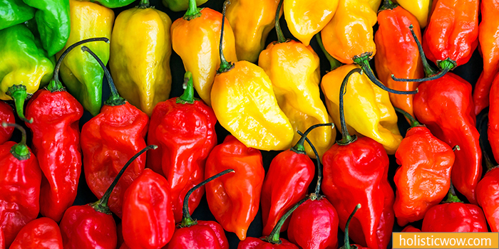 Scotch Bonnet Pepper is a Habanero substitute and alternative