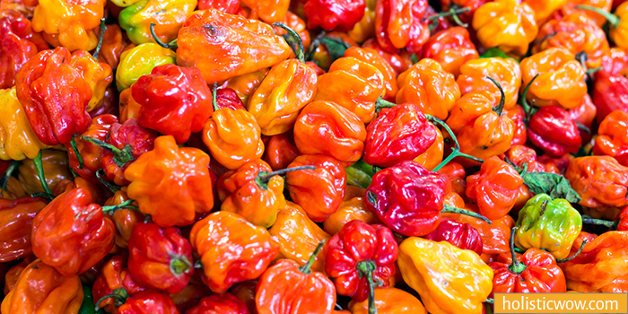 Habanero Pepper is a Pasilla Pepper substitute and alternative