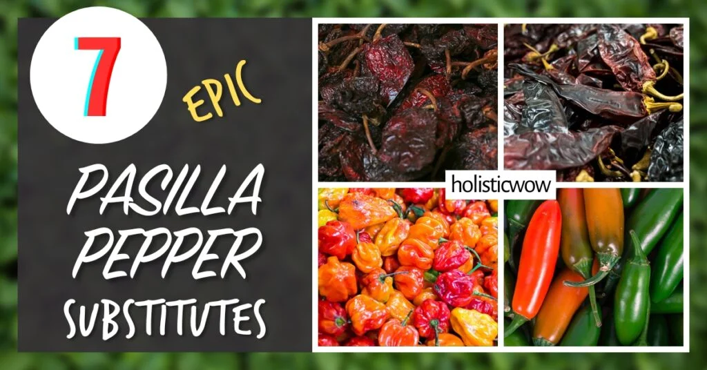 7 Pasilla Pepper Substitutes for Depth and Complexity in Cooking ...