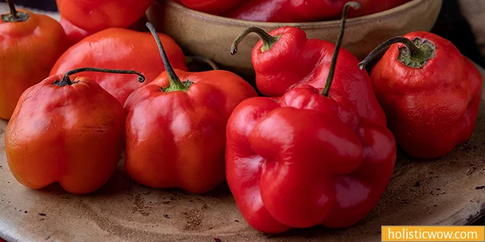 5 Tangy Peppadew Pepper Substitutes and Alternatives to Spice Up Your Dishes 5 Rocoto Chiles are a Peppadew Pepper substitute and alternative