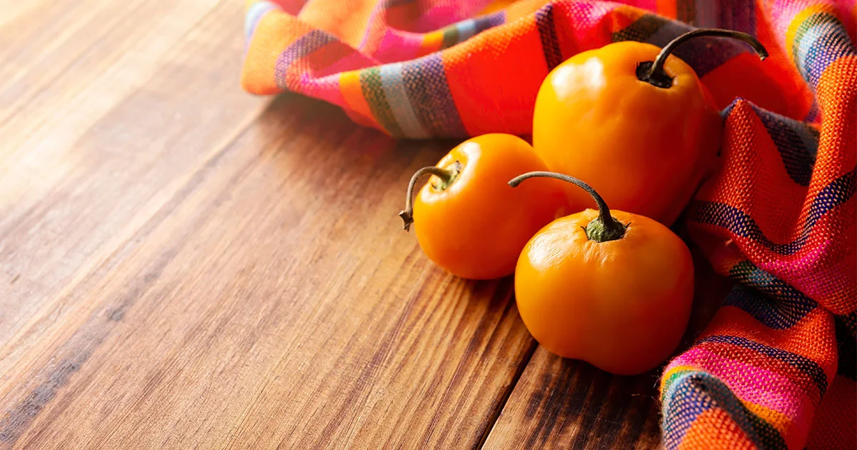 Manzano Pepper All about Heat, Flavor, Uses, Substitutes 🌶️