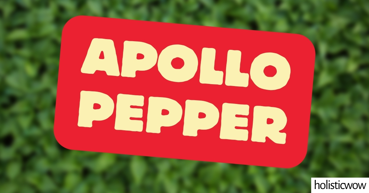 Featured image for “Apollo Pepper – All about Heat, Flavor, Uses, Substitutes”