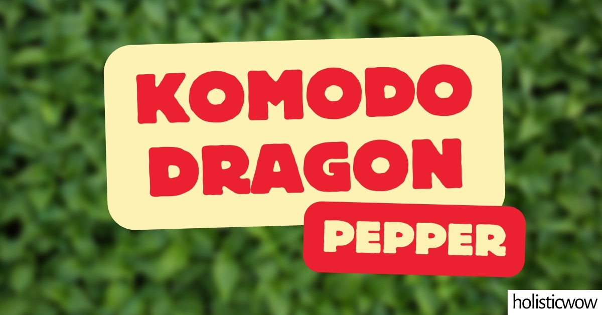 Featured image for “Komodo Dragon Pepper – All about Heat, Flavor, Uses, Substitutes”