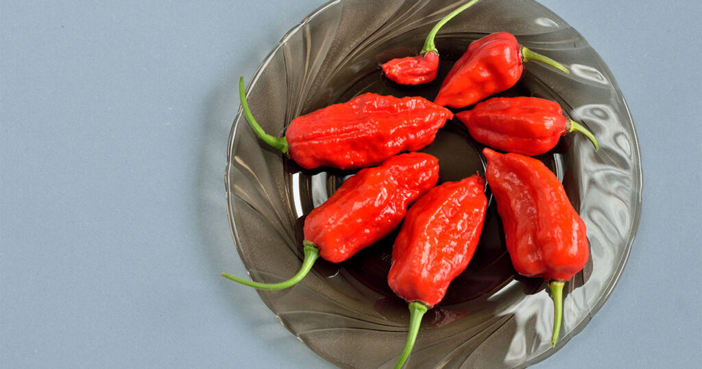 Recipe ideas for Naga Morich