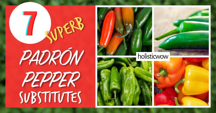 Padrón pepper alternatives