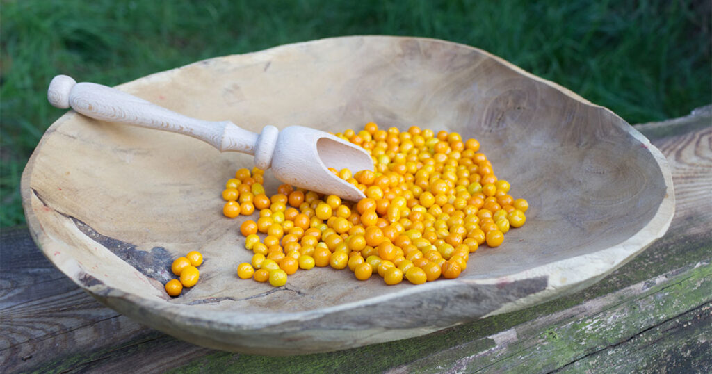 Storing Aji charapita peppers