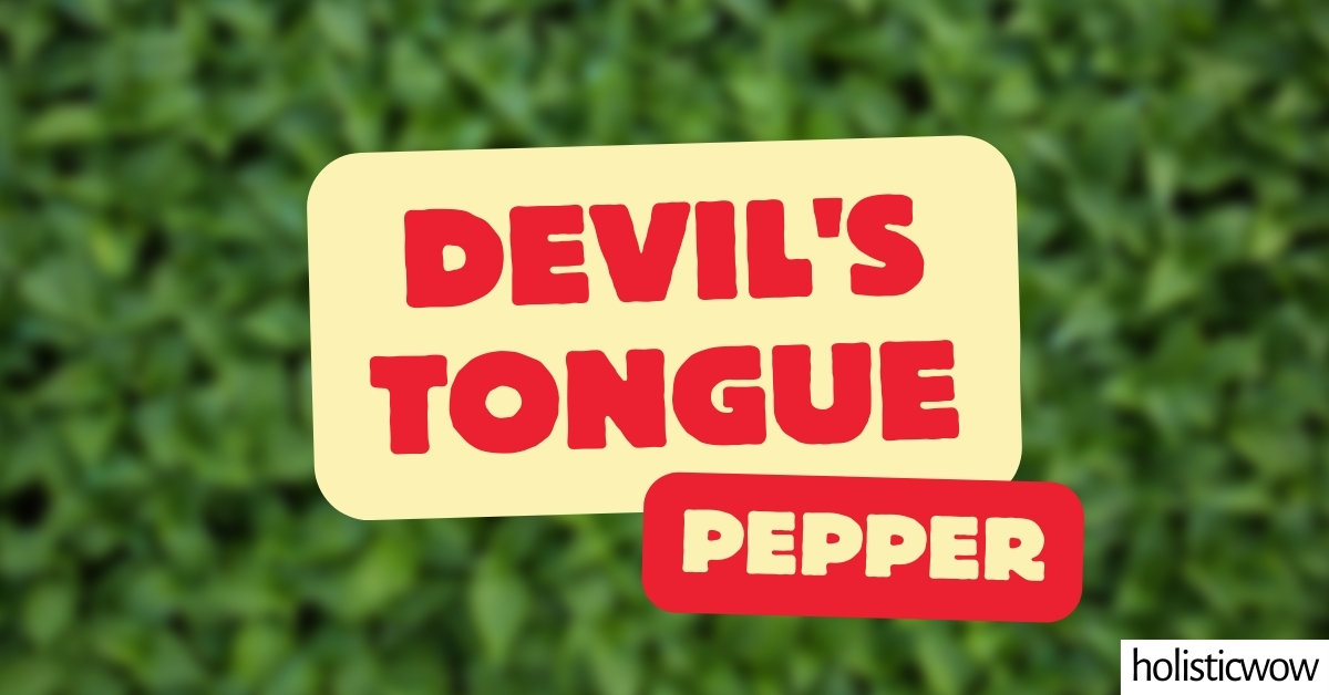 Featured image for “Devil’s Tongue Pepper – All about Heat, Flavor, Uses, Substitutes”
