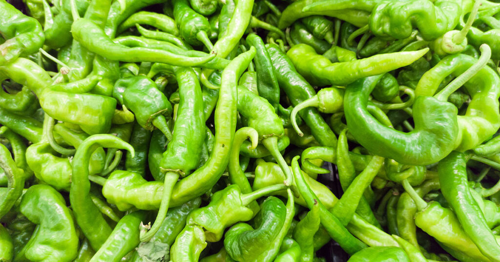Where does the Italian Long Hot Pepper come from?