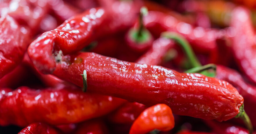 Italian Long Hot Pepper