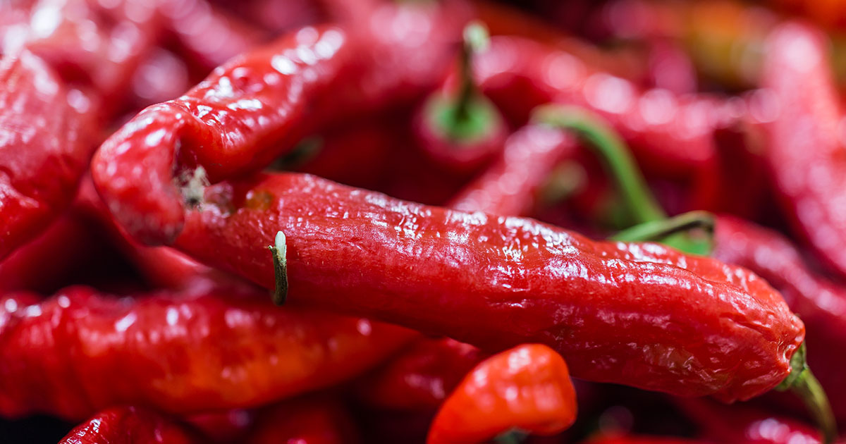 Featured image for “Italian Long Hot Pepper – All about Heat, Flavor, Uses, Substitutes”
