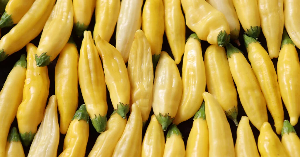 Lemon Chilli Lemon Drop Pepper – All about Heat, Flavor, Uses, Substitutes | HolisticWow