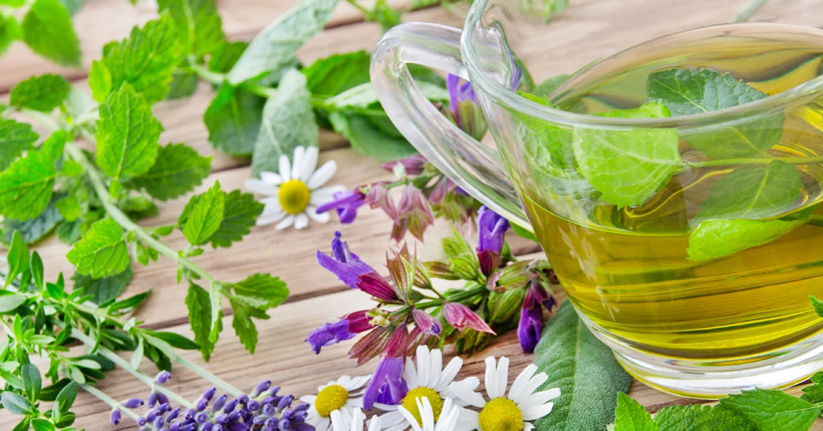 6 Best Herbs for a Better Night's Sleep 3 Chamomile, lemon balm and lavender tea