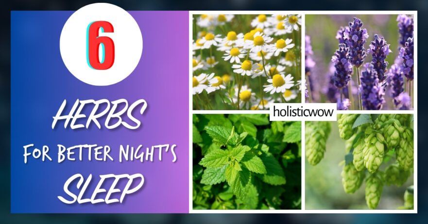 Herbs for sleep