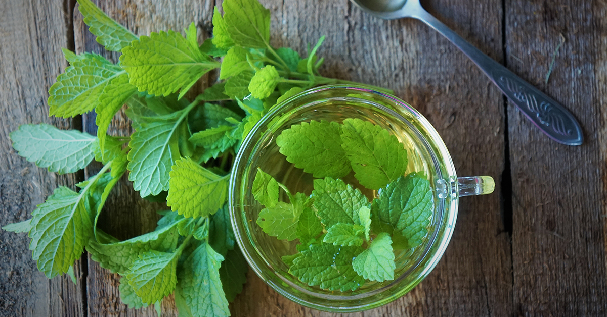 Lemon balm tea for anxiety