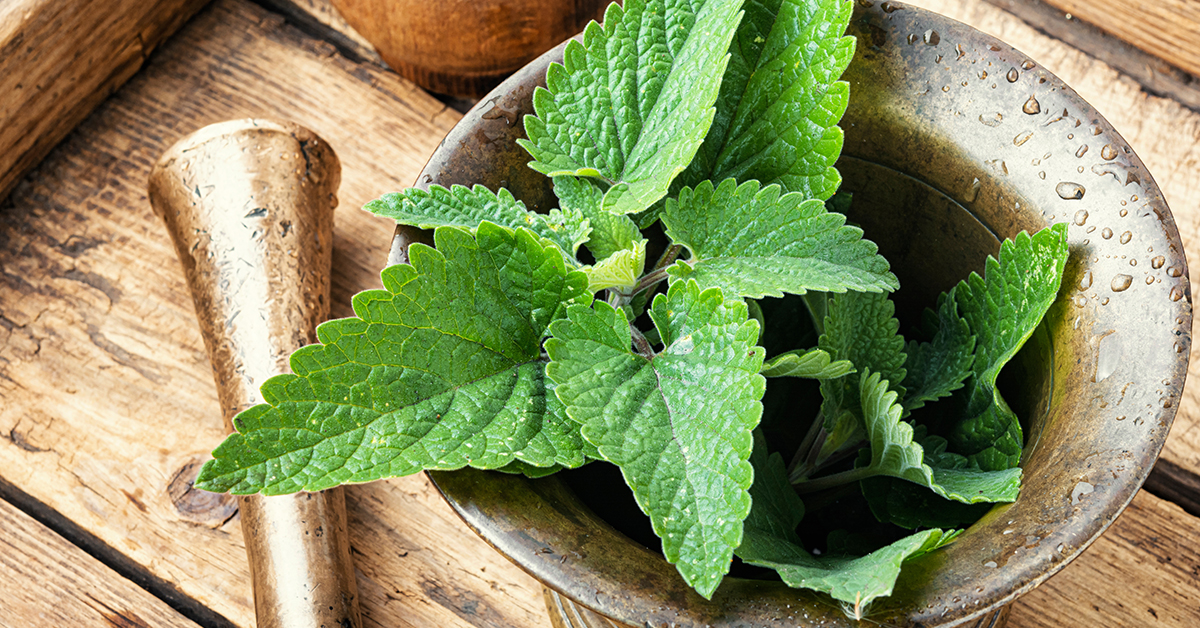 Lemon Balm uses