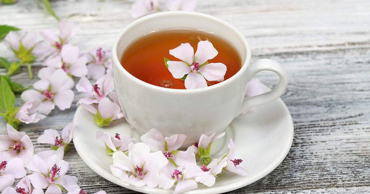 Marshmallow root tea